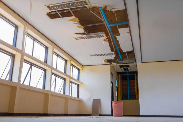 Best Professional water damage repair  in Luck, WI