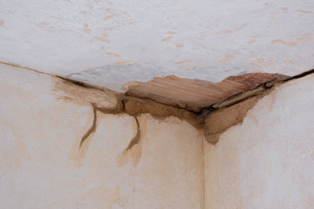 Best 24-hour water damage restoration  in Luck, WI