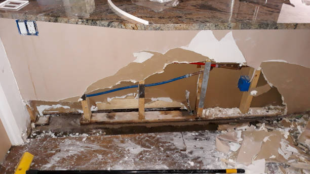 Best Water damage restoration specialists  in Luck, WI