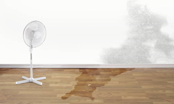 Best Emergency water damage restoration  in Luck, WI