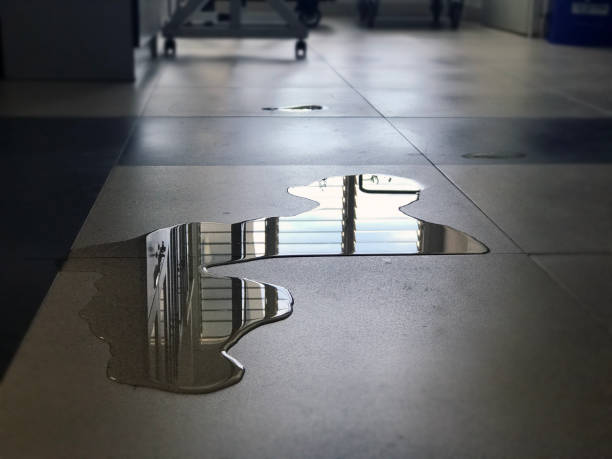 Best Water damage restoration near me  in Luck, WI