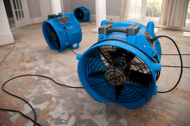 Best Water damage restoration mold remediation  in Luck, WI
