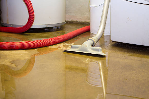 Best Ceiling water damage repair  in Luck, WI