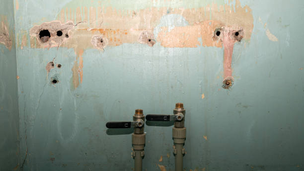 Best Flooded house restoration  in Luck, WI