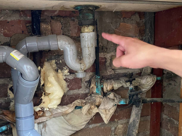 Best Carpet water damage restoration  in Luck, WI