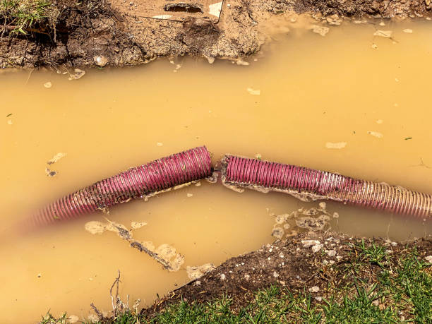 Best Water damage restoration near me  in Luck, WI